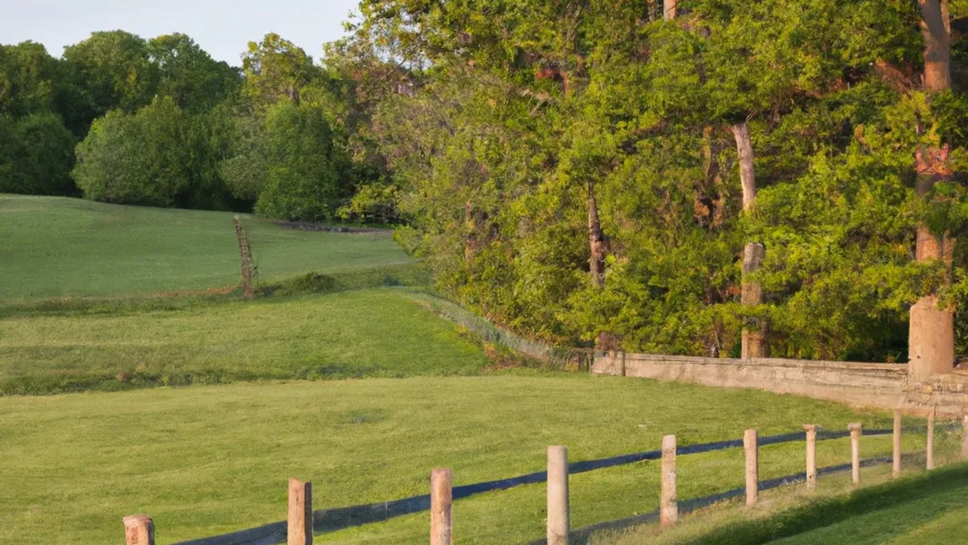 How to Sell Land Without Clear Title in Michigan Michigan land guide