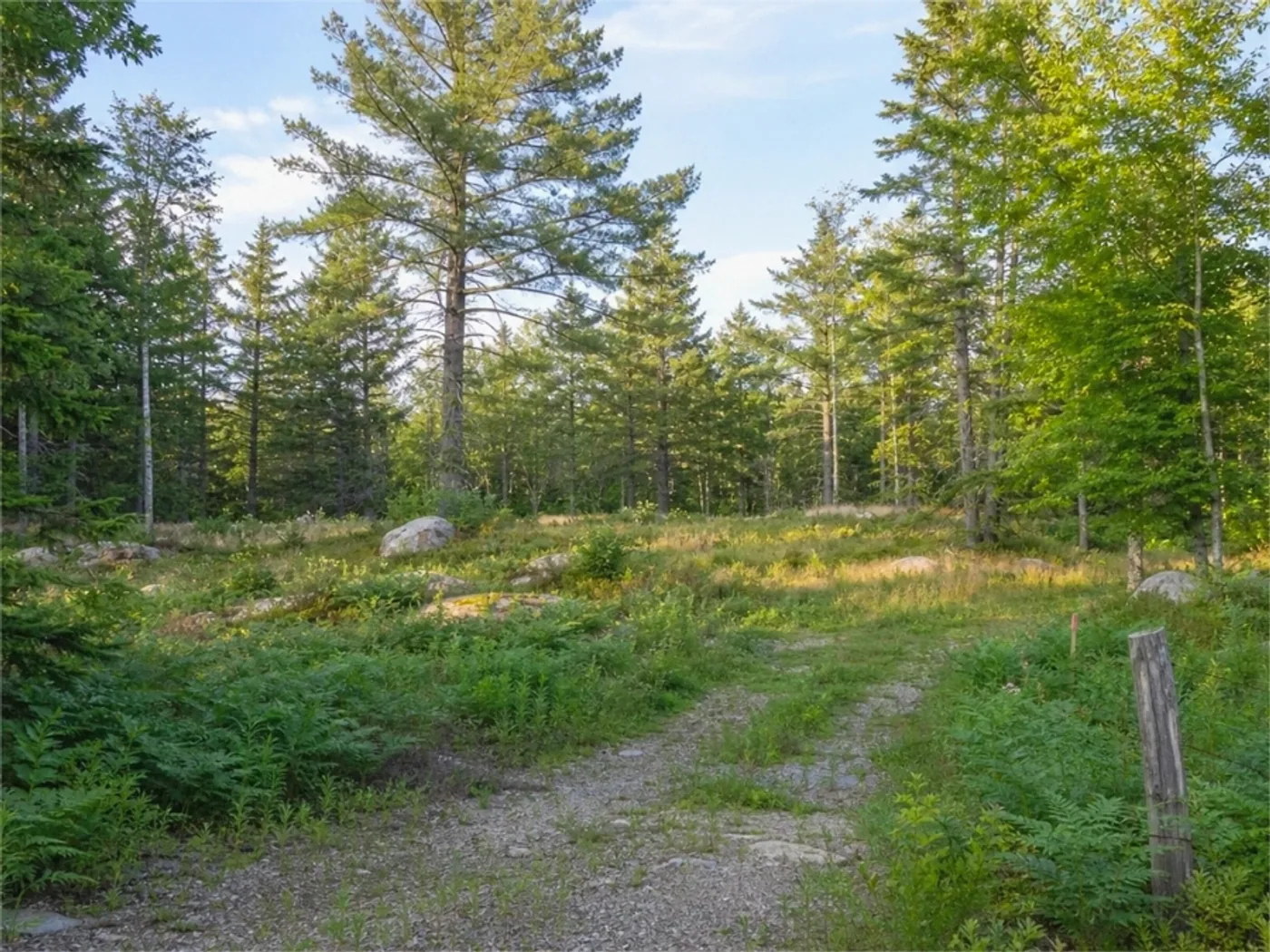 Rural Access Parcels in Mio